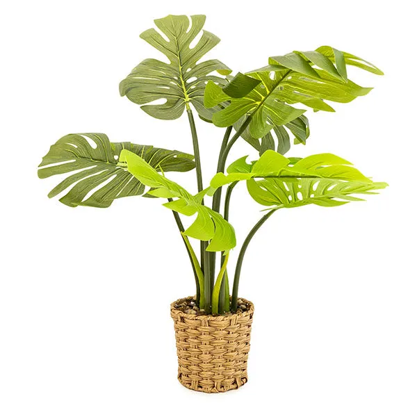Lifelike Green Leaves in Elegant Beige Wicker Pot