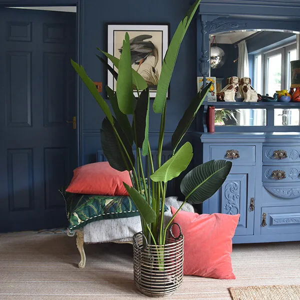 Lifelike Tall Green Strelitzia in Sleek Black Pot