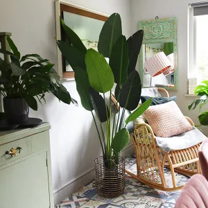 Lifelike Tall Green Strelitzia in Sleek Black Pot kitchen essentials, utensils set