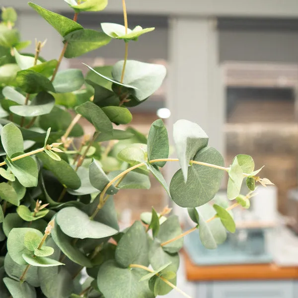 Lush Lifelike Green Eucalyptus Delight with Seven Heads