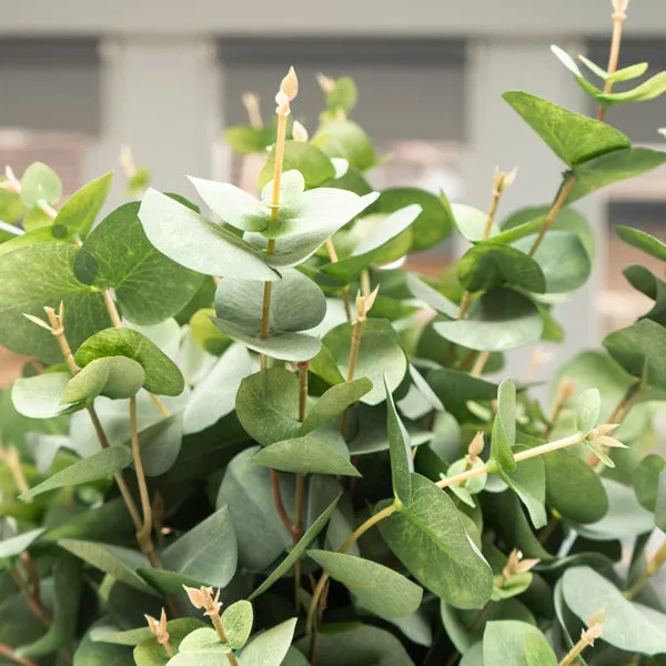 Lush Lifelike Green Eucalyptus Delight with Seven Heads