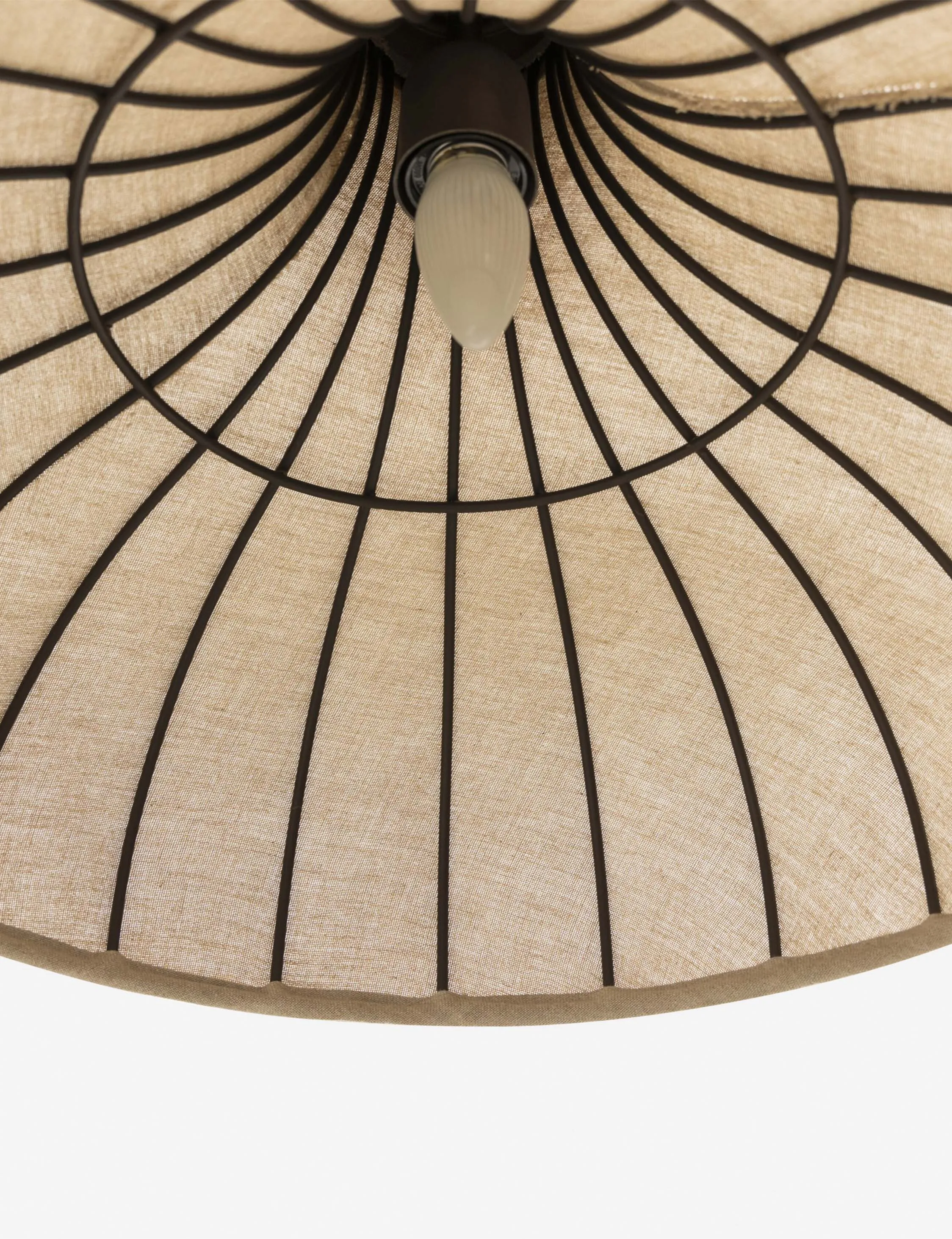 Maisano Pendant Light