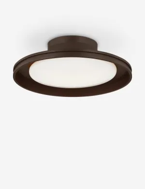 Marichelle Outdoor Flush Mount Light