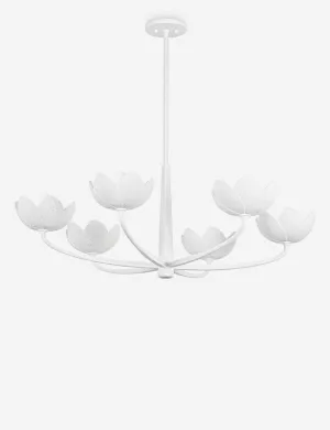 Mishal Chandelier