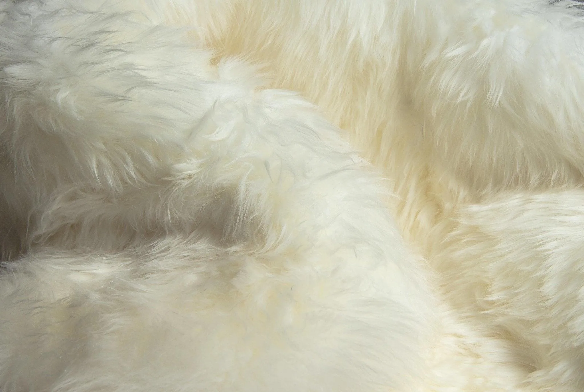 New Zealand Sheepskin Wool Accent Rug