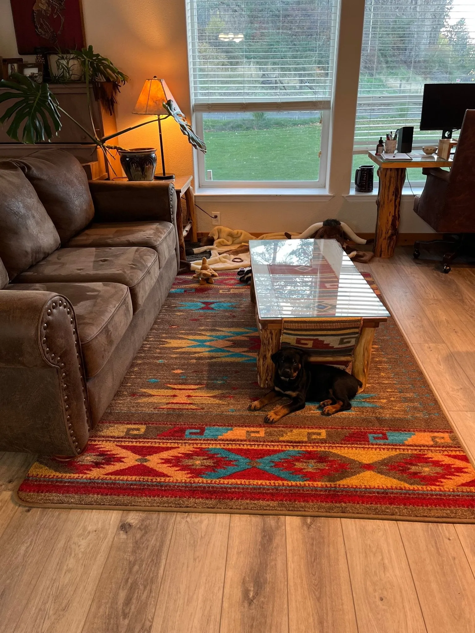 Ohtli Multi Color Area Rugs