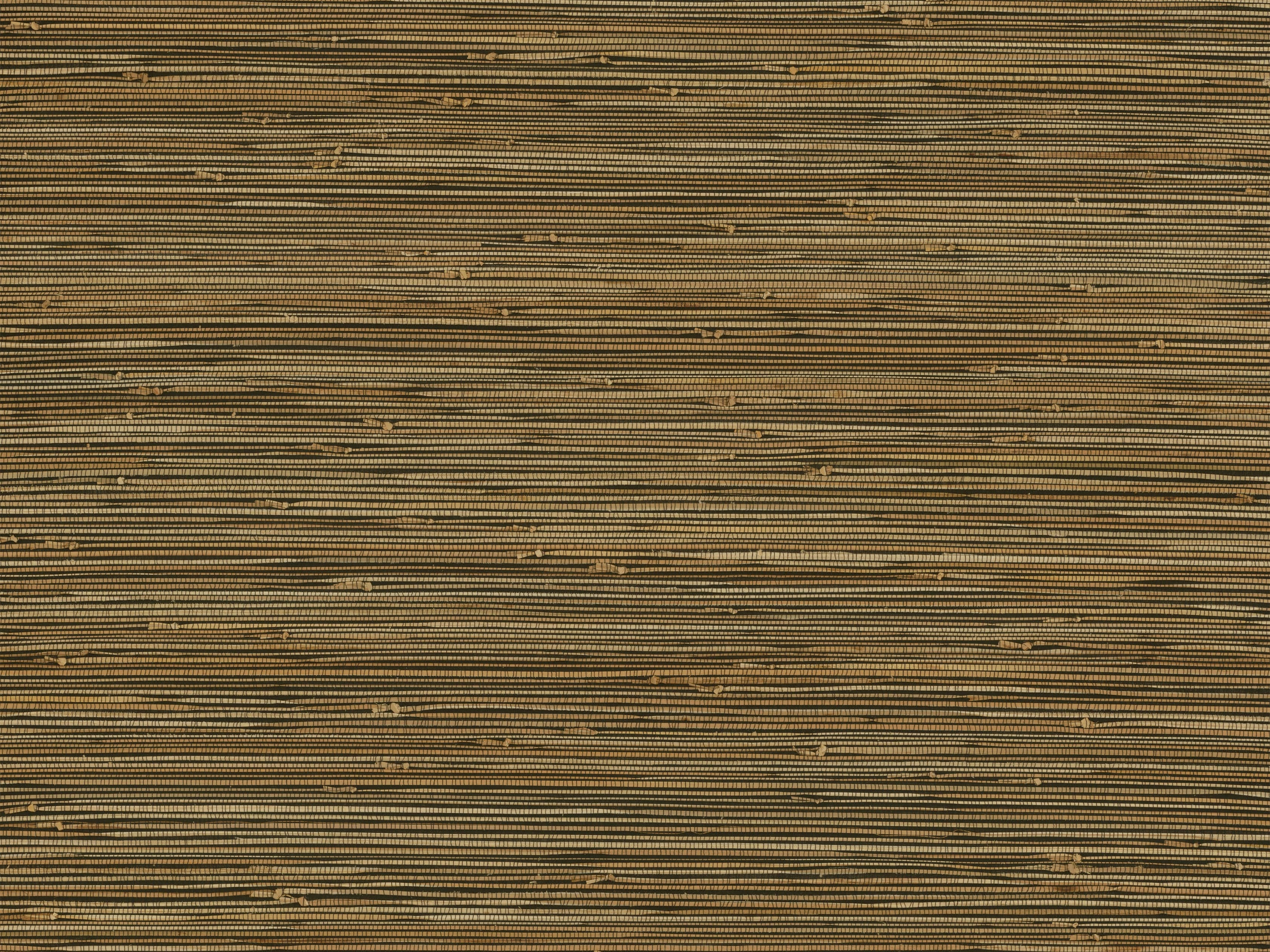 Olivio Grasscloth Wallpaper in Night