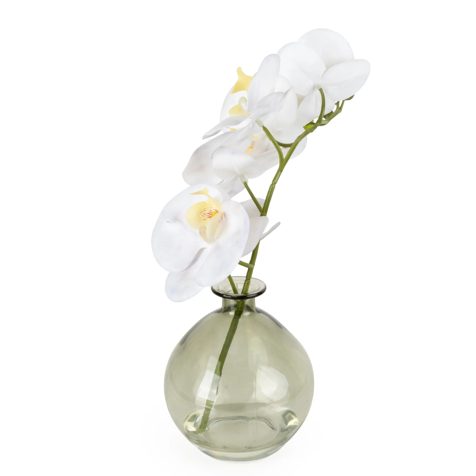 Orchid in Green Vase
