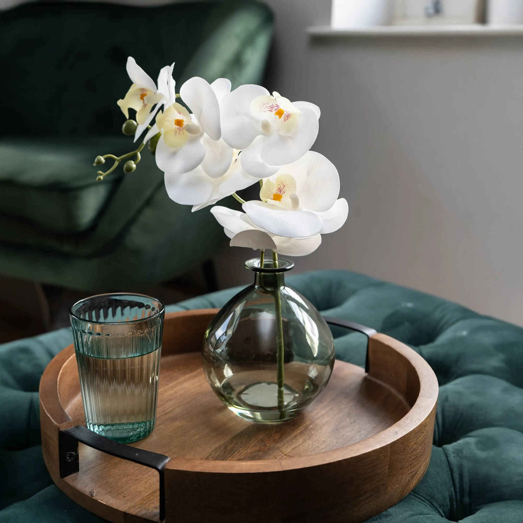 Orchid in Green Vase
