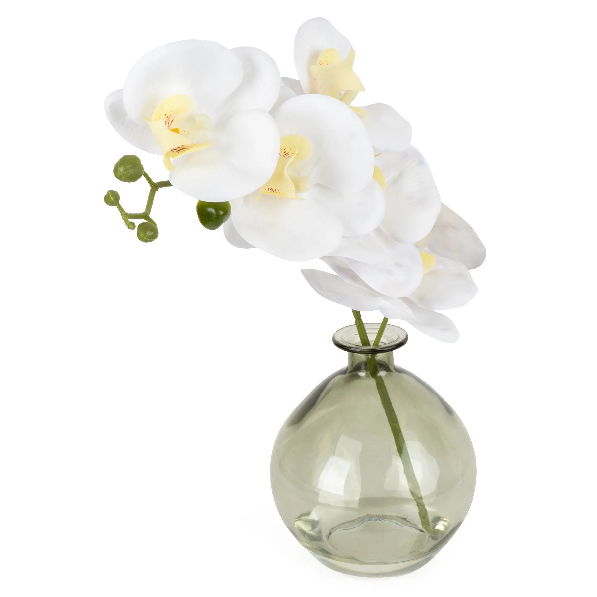 Orchid in Green Vase