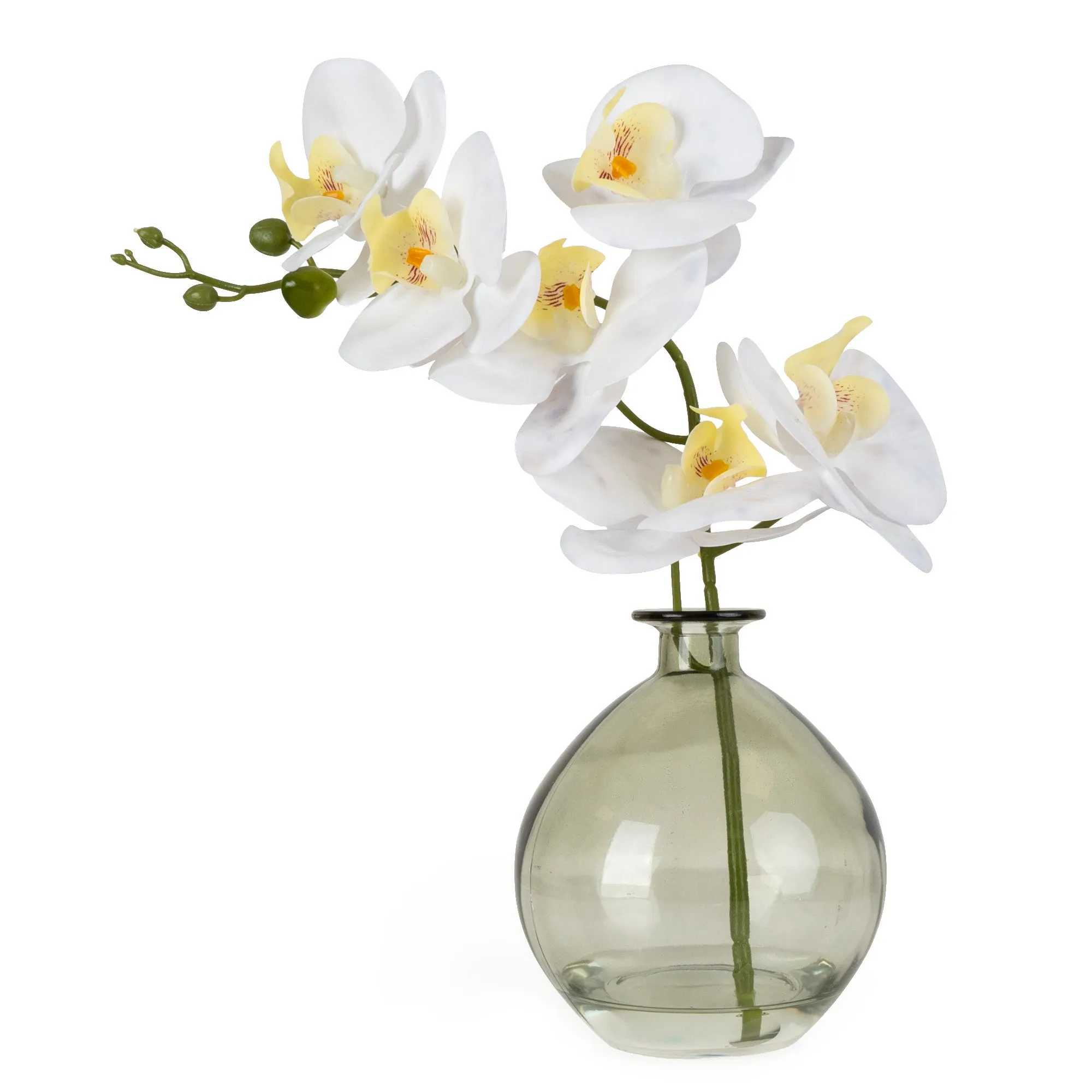 Orchid in Green Vase