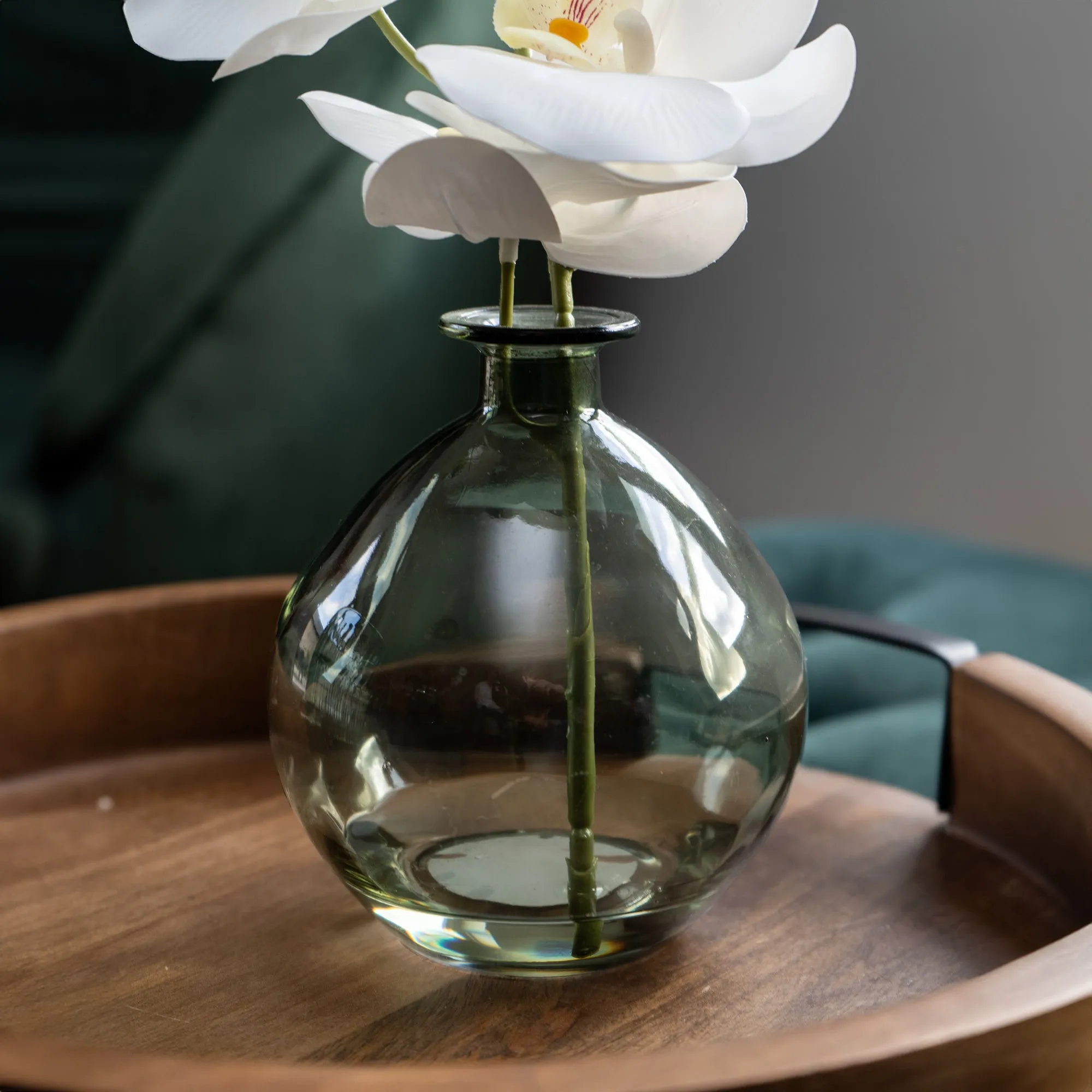 Orchid in Green Vase