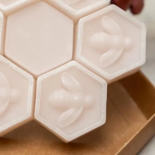 Pack of 6 Scented Wax Melts - Devon