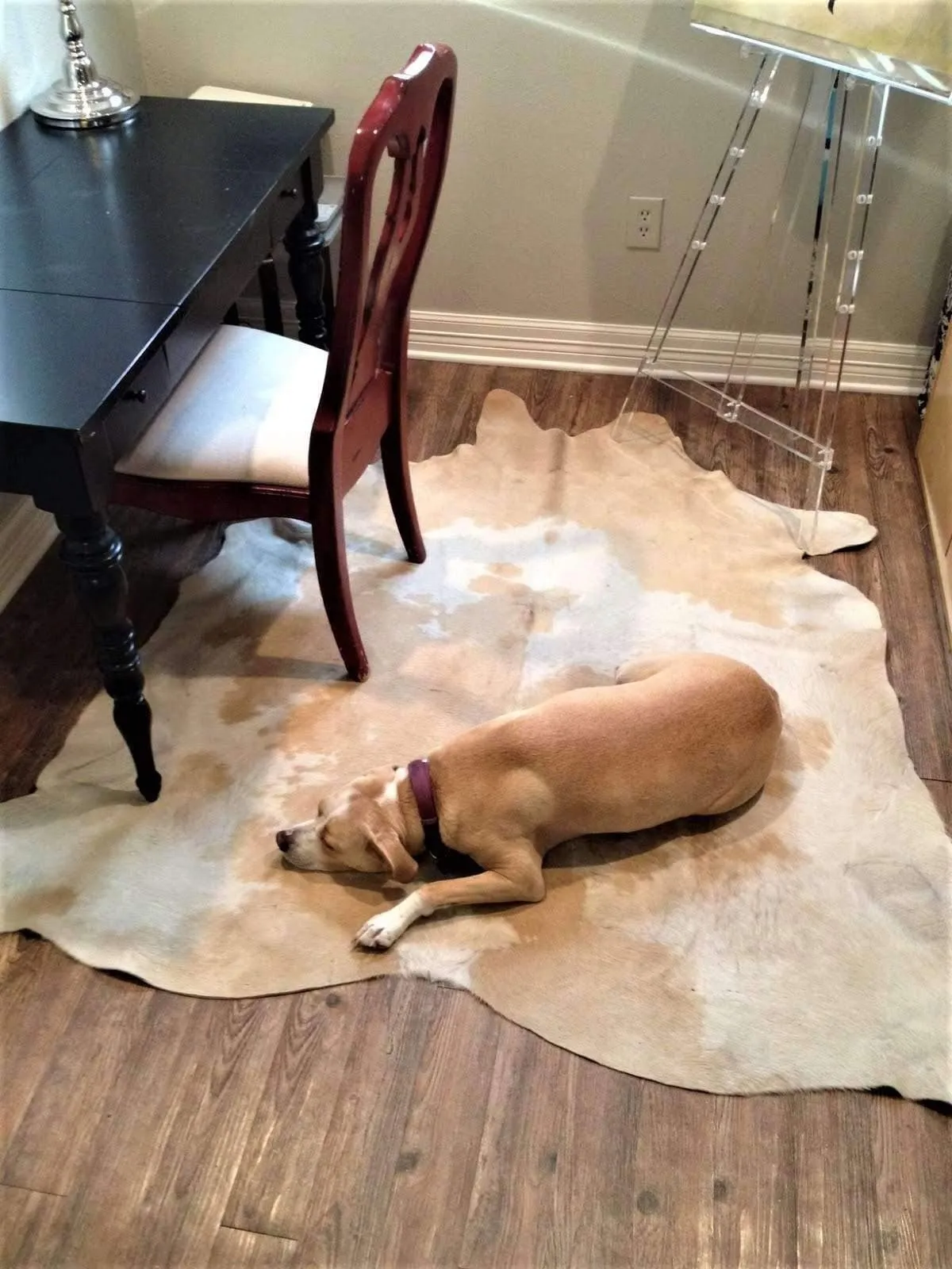 Palomino and White Brazilian Cowhide Rug