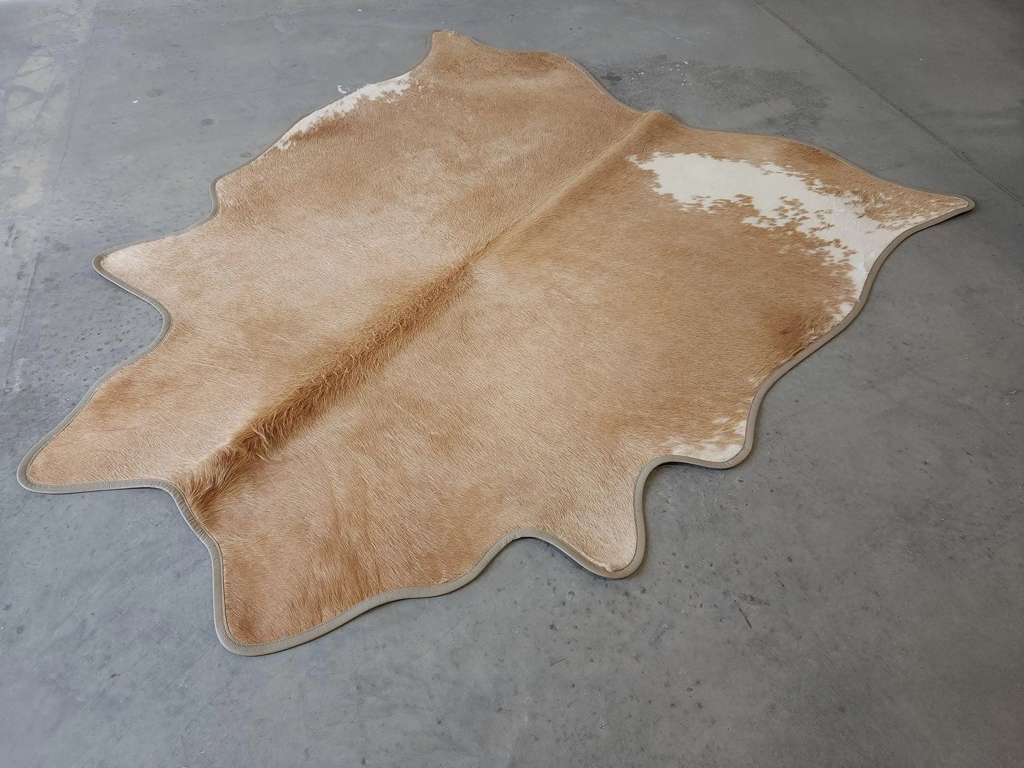 Palomino with White Cowhide & Leather Trim