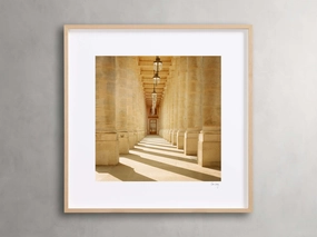 Paris III Framed Print