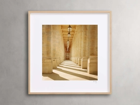 Paris III Framed Print