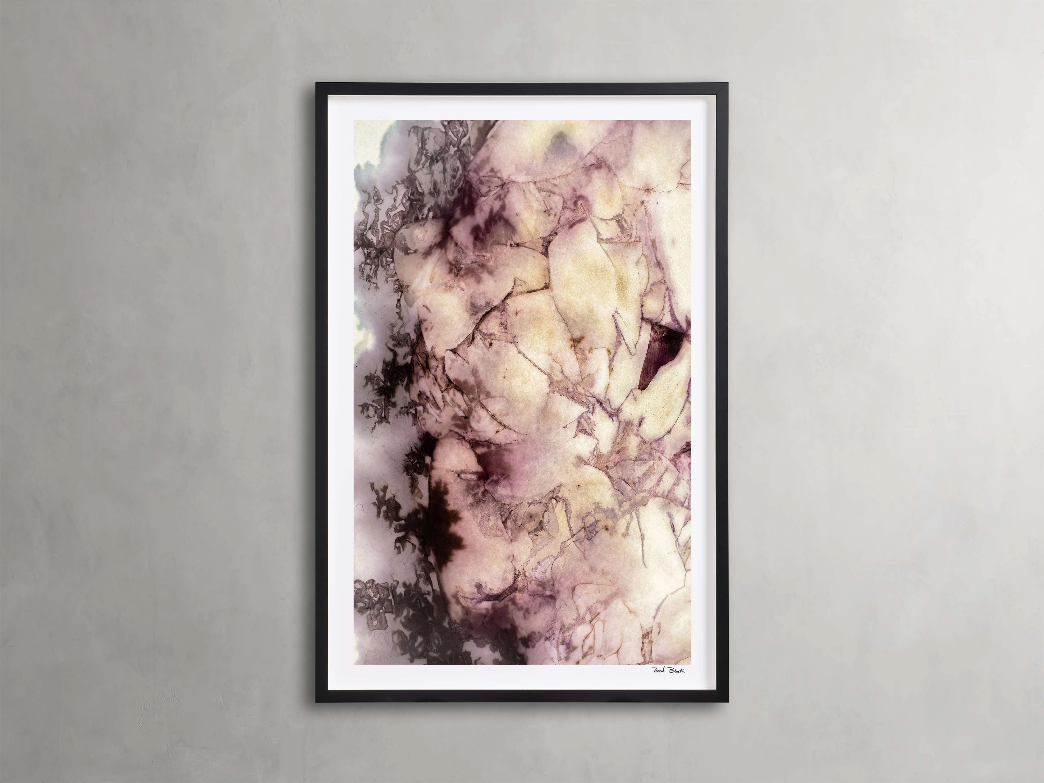Peony Universe Framed Print