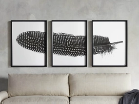 Pheasant Feather Framed Print (Set of 3)