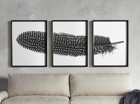 Pheasant Feather Framed Print (Set of 3)