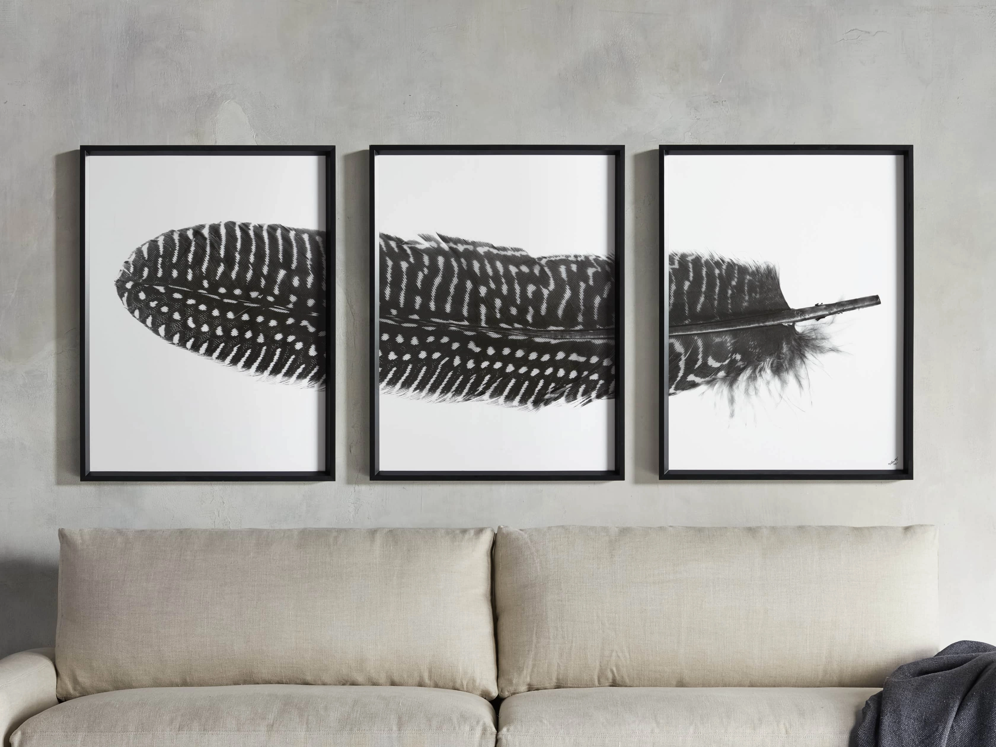 Pheasant Feather Framed Print (Set of 3)