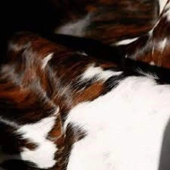 Premium TriColor Cowhide Rug