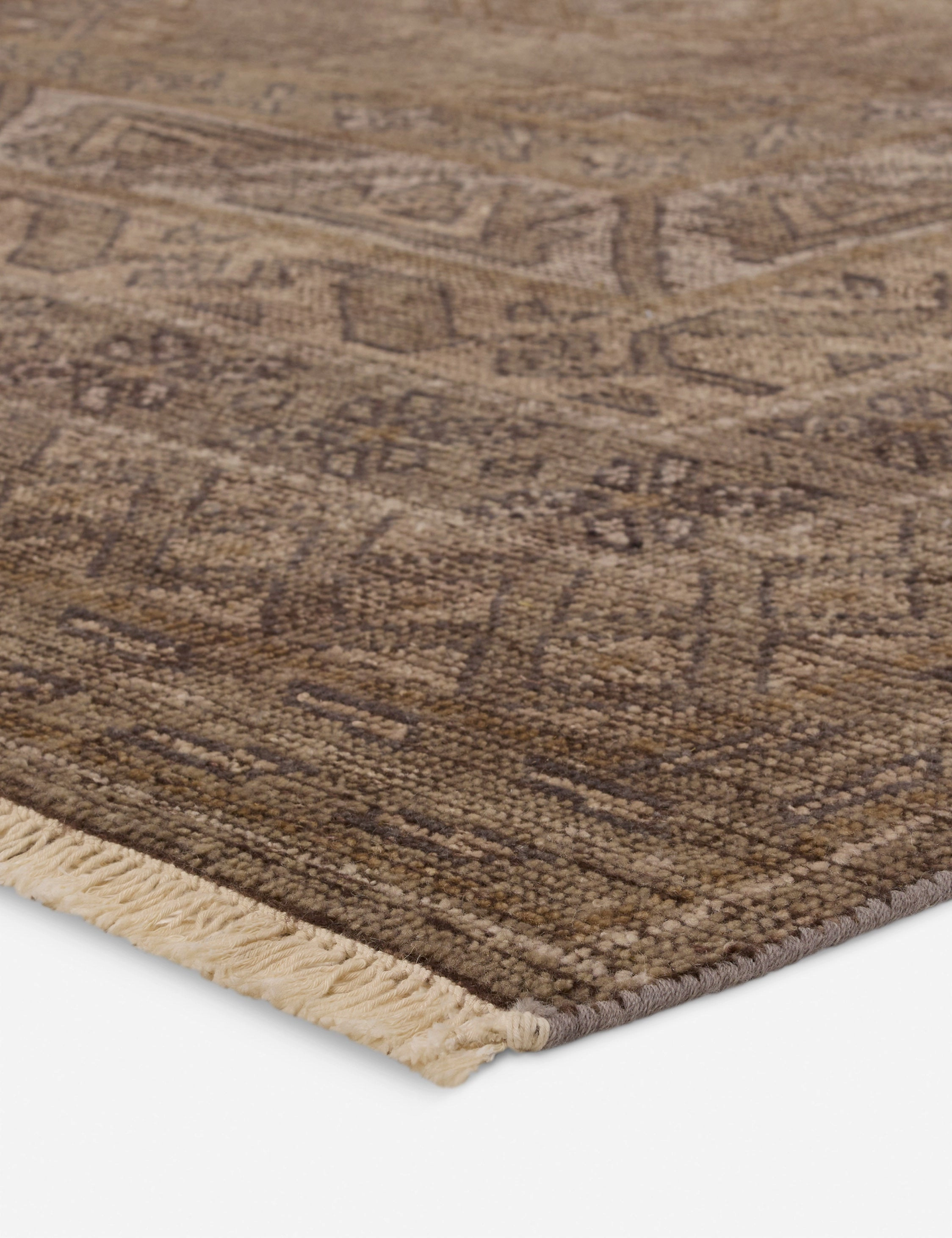 Ramira Hand-Knotted Wool Rug
