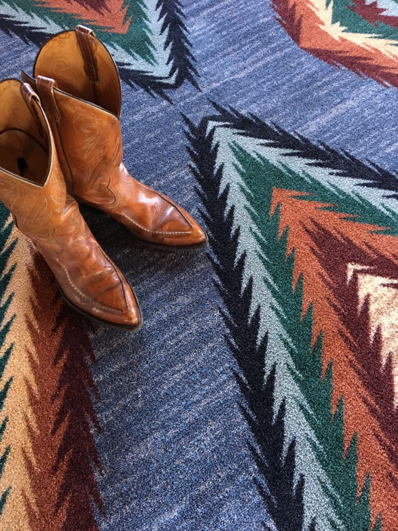 Razzle Forester Area Rugs
