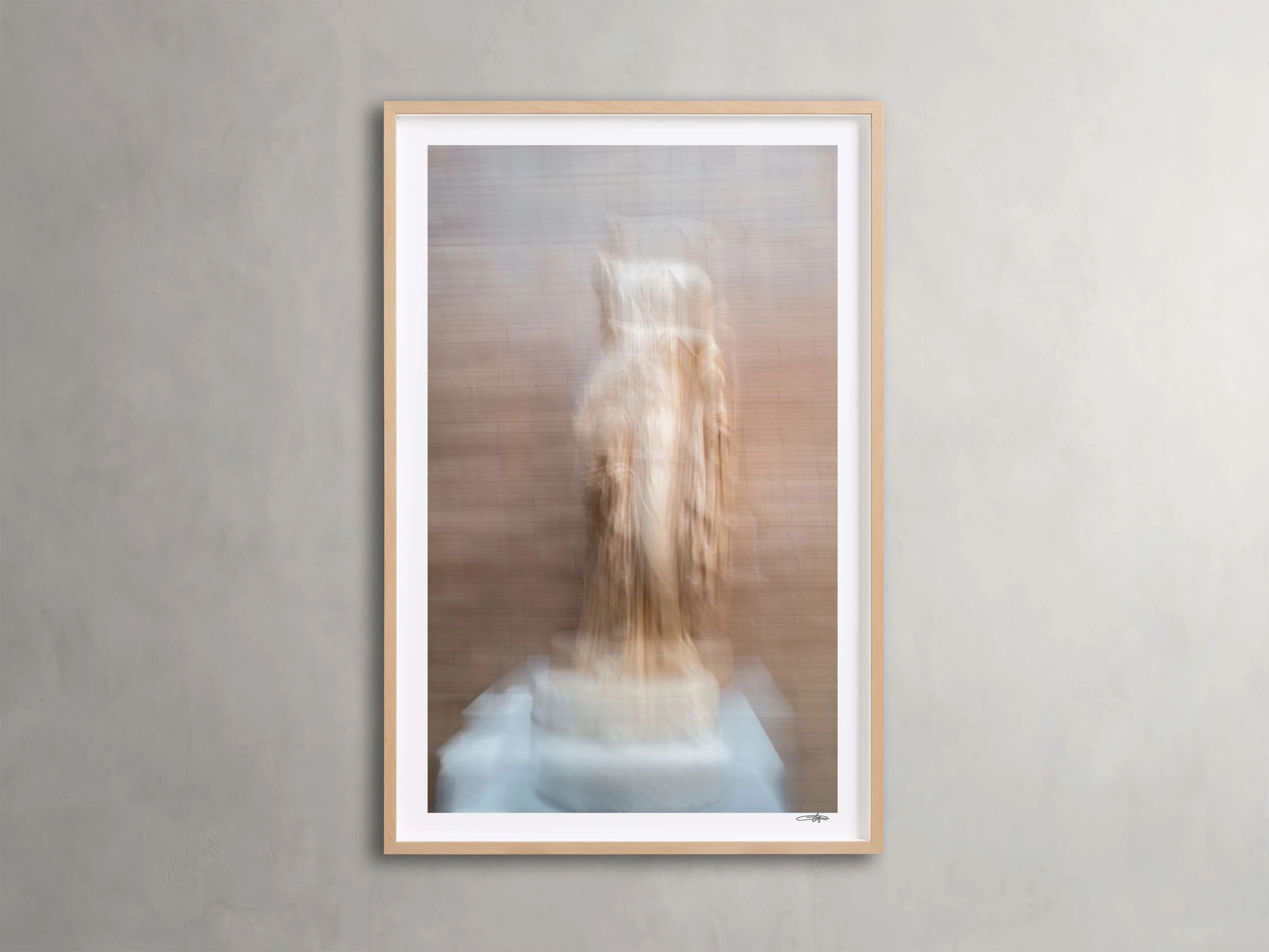 Roman Framed Print