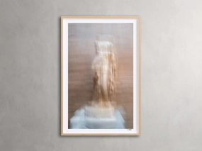 Roman Framed Print