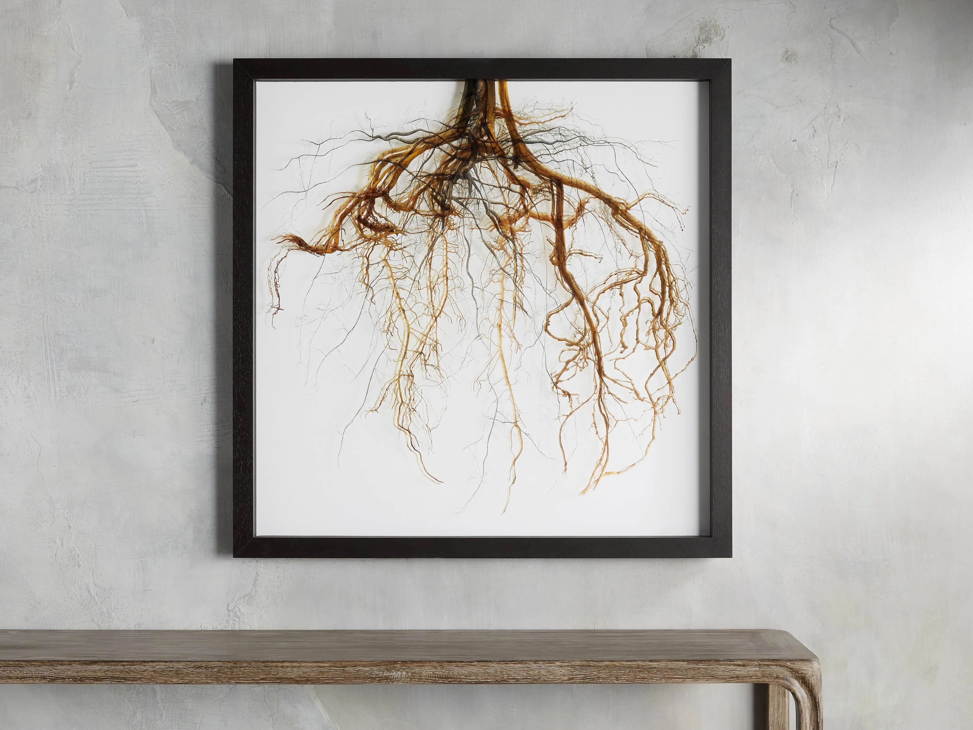 Roots Framed Print
