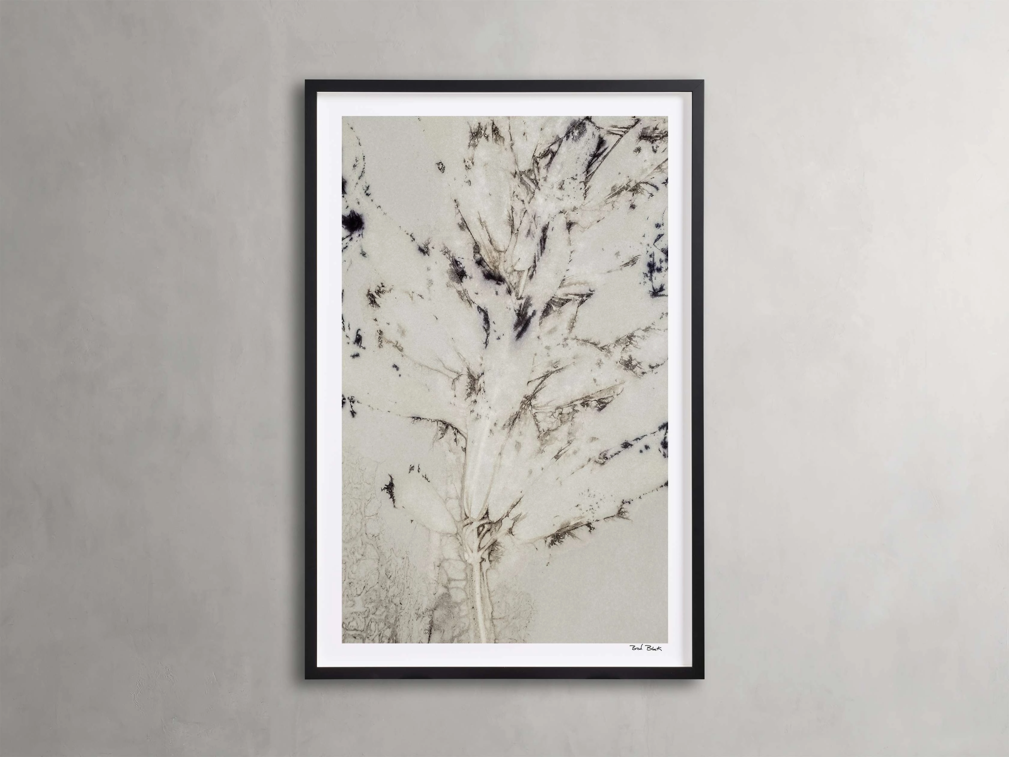 Sense of Salvia Framed Print