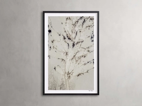 Sense of Salvia Framed Print