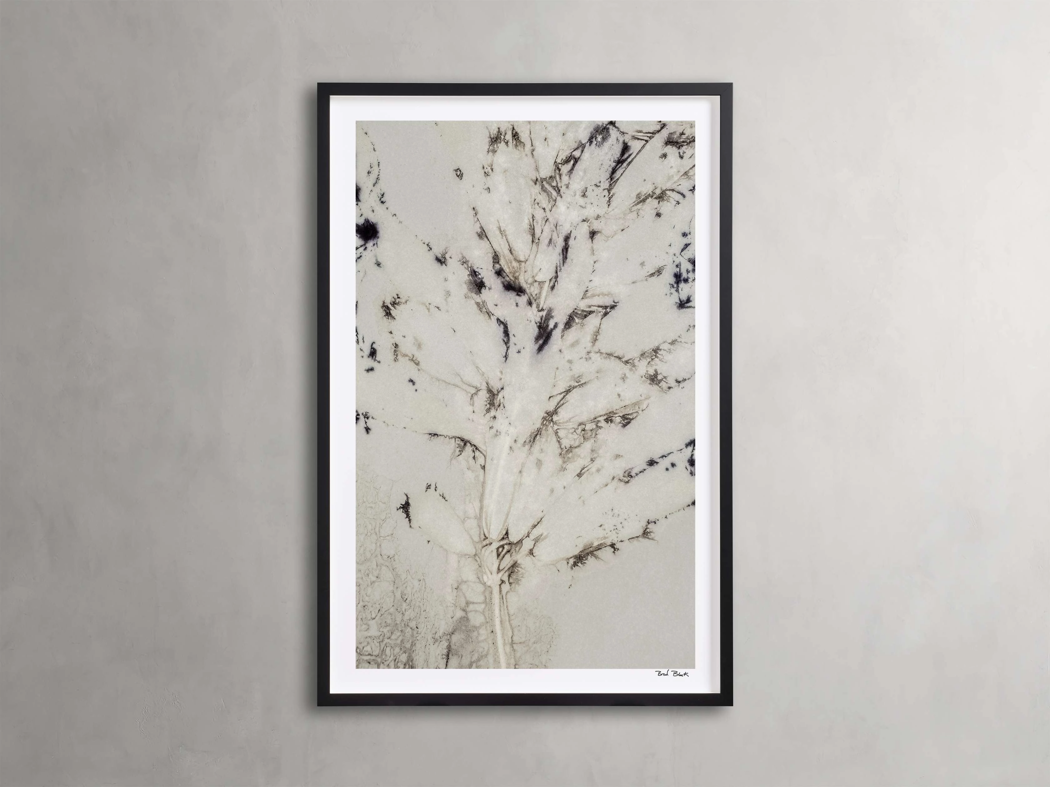 Sense of Salvia Framed Print