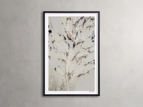 Sense of Salvia Framed Print