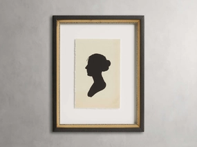 Shadow Framed Print