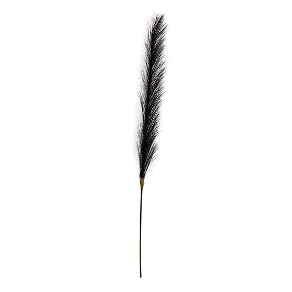 Single Black Likelike Pampas Grass