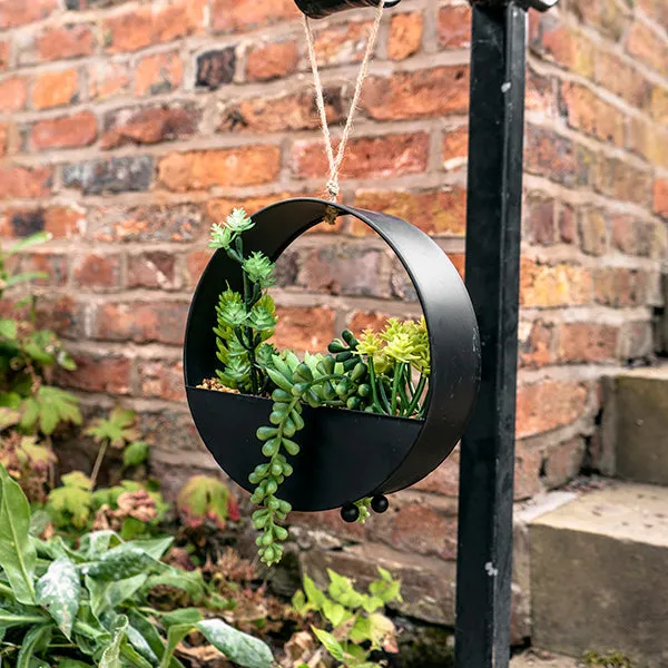 Sleek Lifelike Green Succulent in Chic Round Metal Hanging Pot kitchen essentials, utensils set