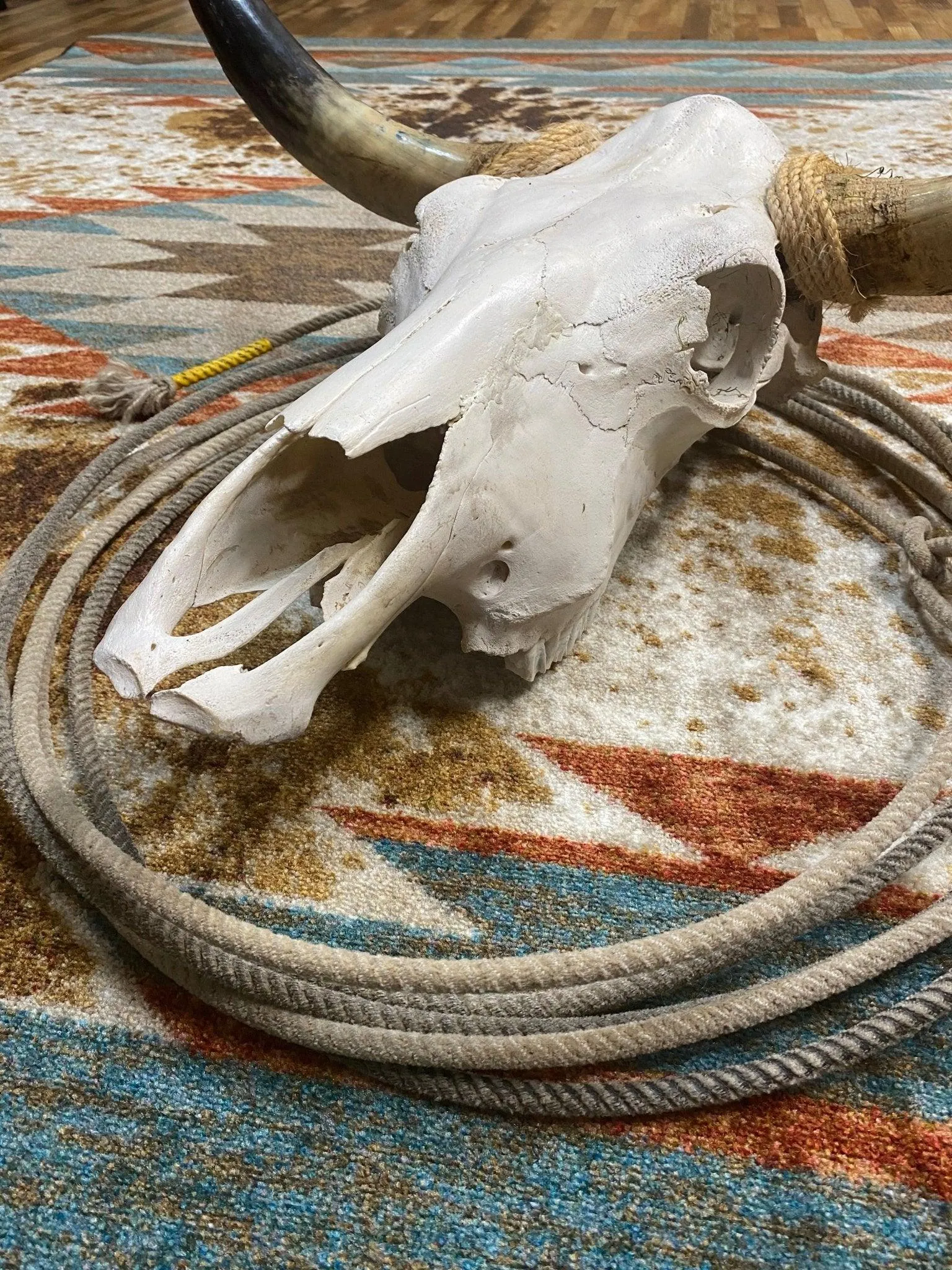 Southwestern Rancher Floor Runner