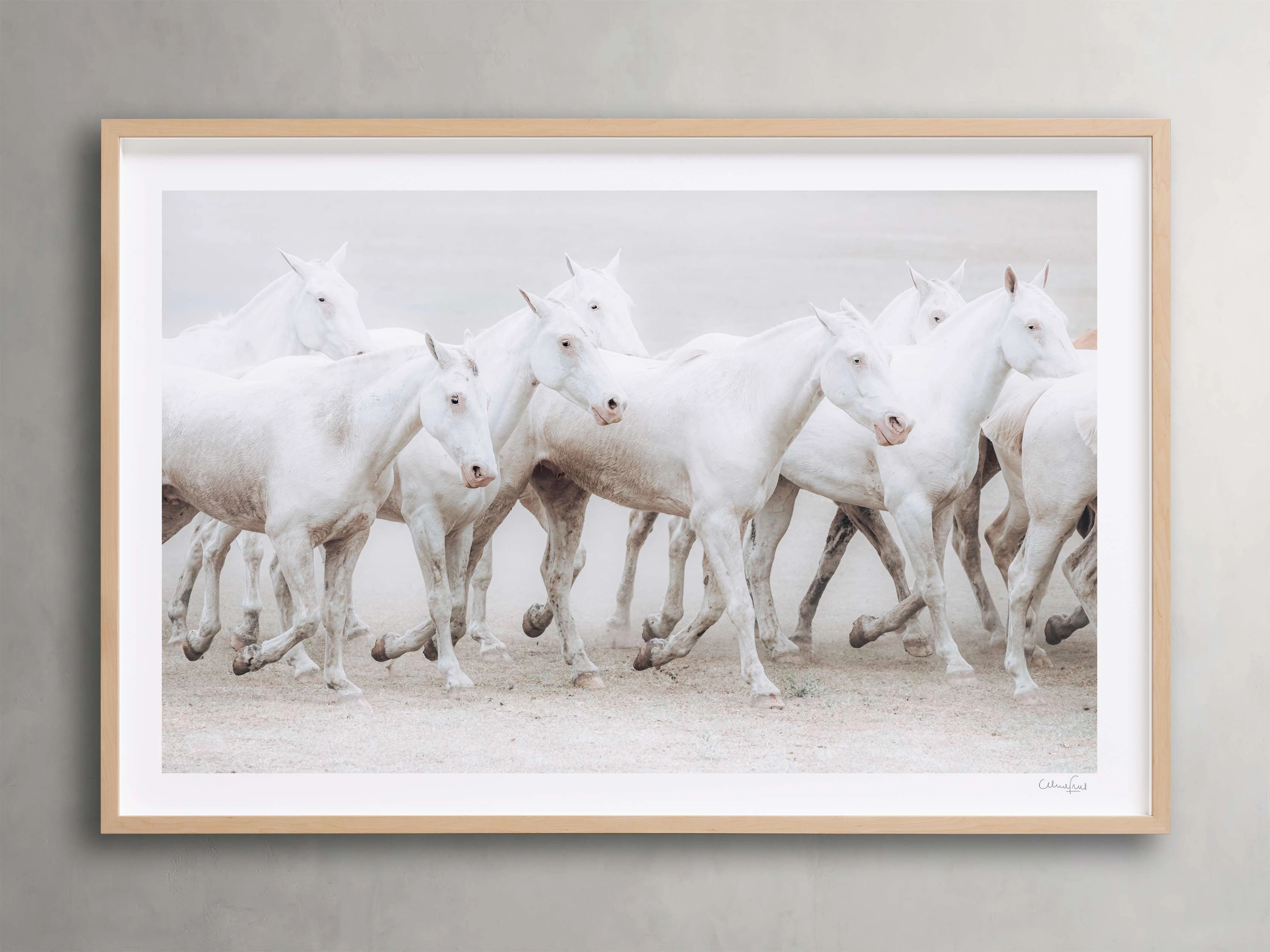 Stampede Framed Print