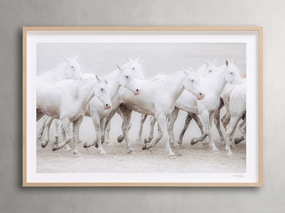 Stampede Framed Print