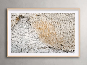 Stone Composition I Framed Print