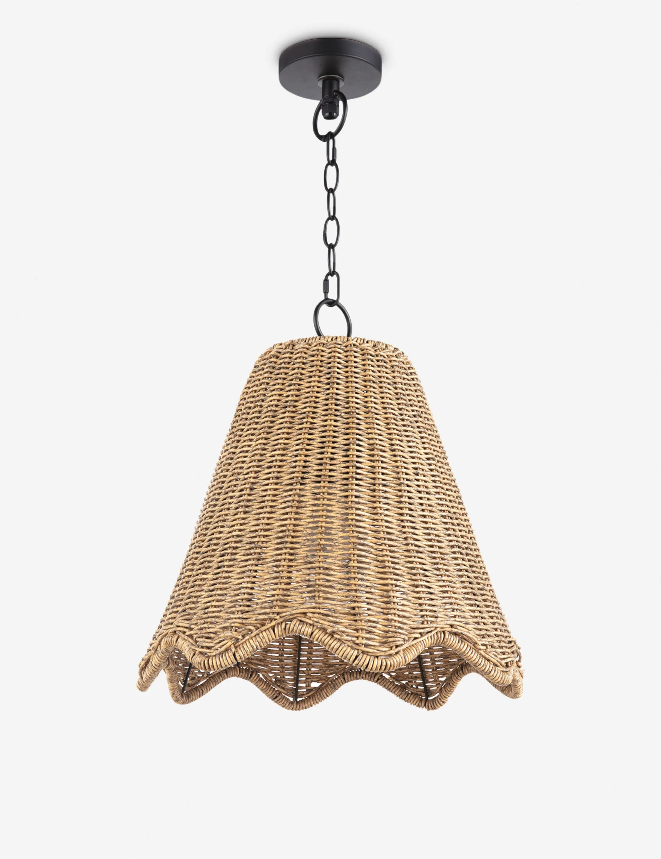 Summer Outdoor Pendant Light by Regina Andrew