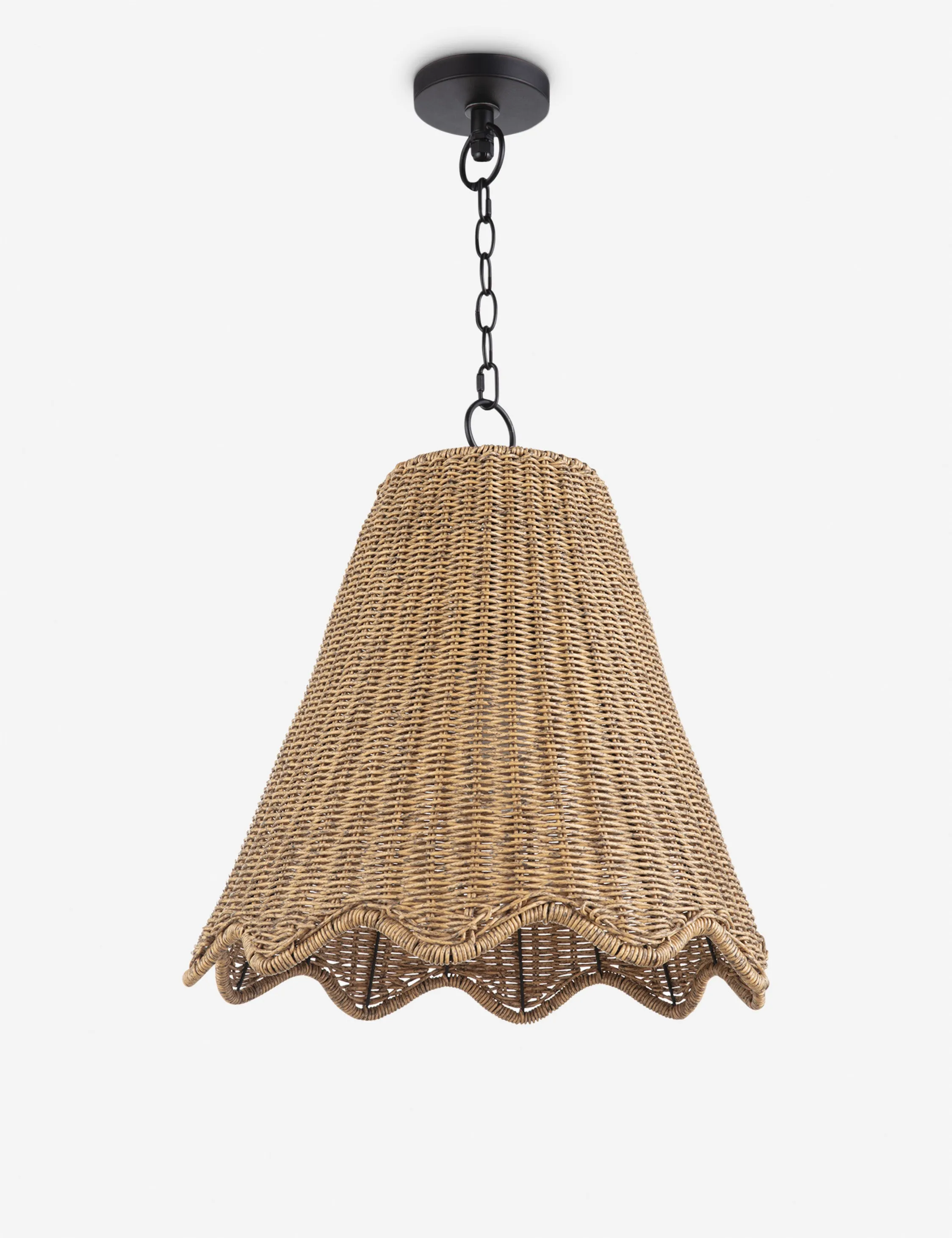 Summer Outdoor Pendant Light by Regina Andrew