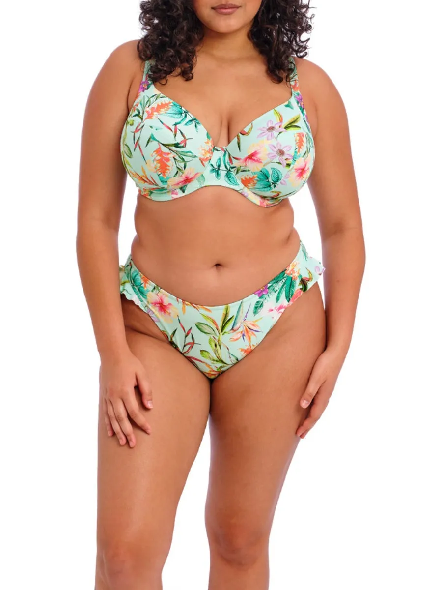 Sunshine Cove High Leg Brief