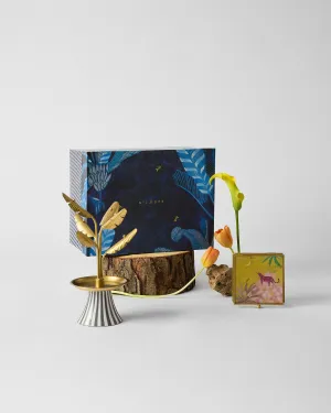 The Sparkle Gift Set dinnerware set, ceramic plates