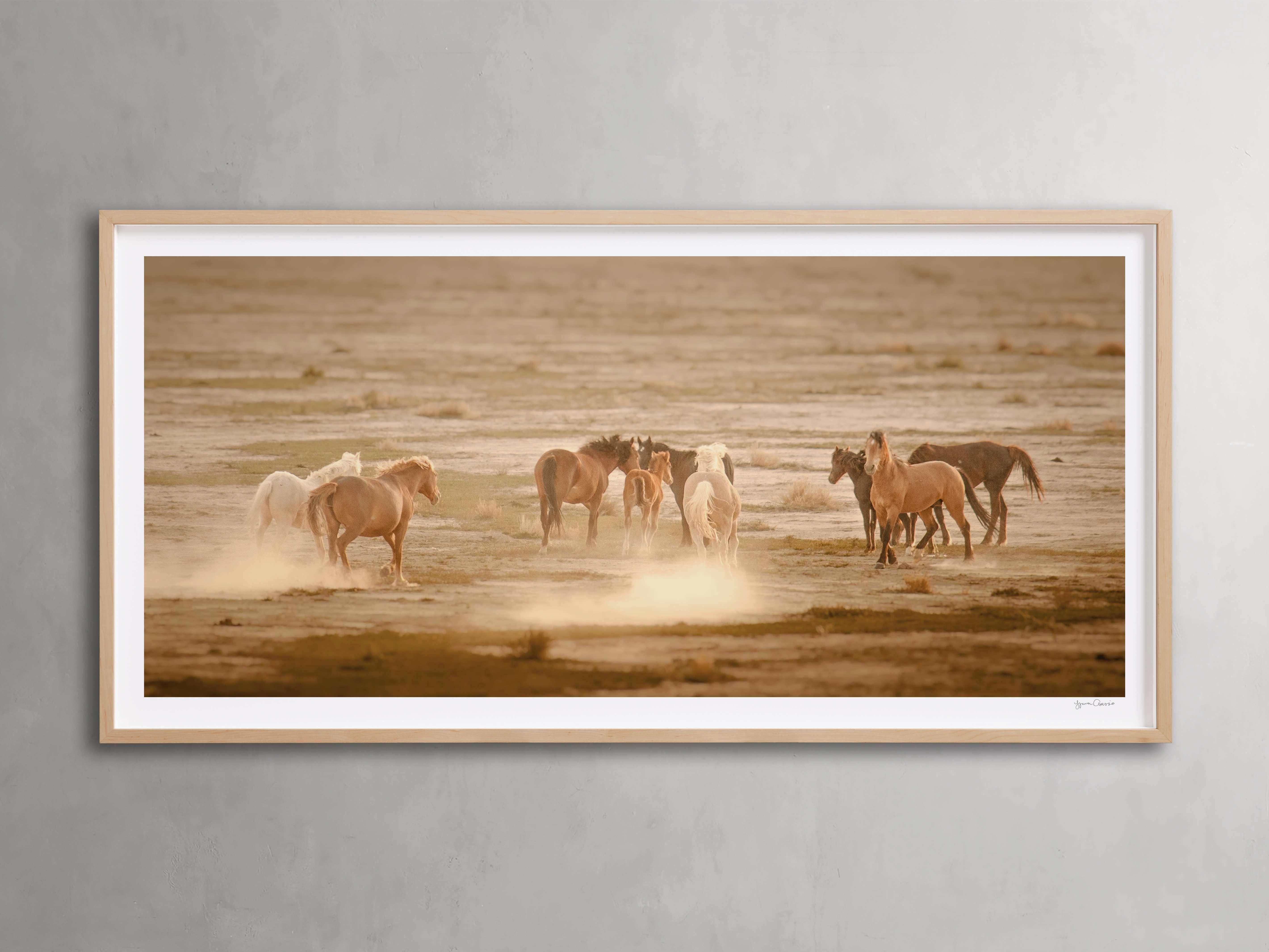 The Great Plains I Framed Print