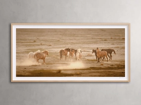 The Great Plains I Framed Print