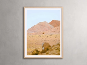The Great Plains II Framed Print