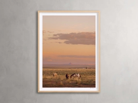 The Great Plains IV Framed Print